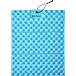 Barva: Blue/Silver