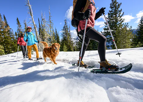 sneznice-sportovní-msr
